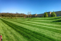 Commercial Grounds care is much more than just mowing a lawn. LANDFORM understands your landscape is the first thing your customers see. Make a positive first impression!